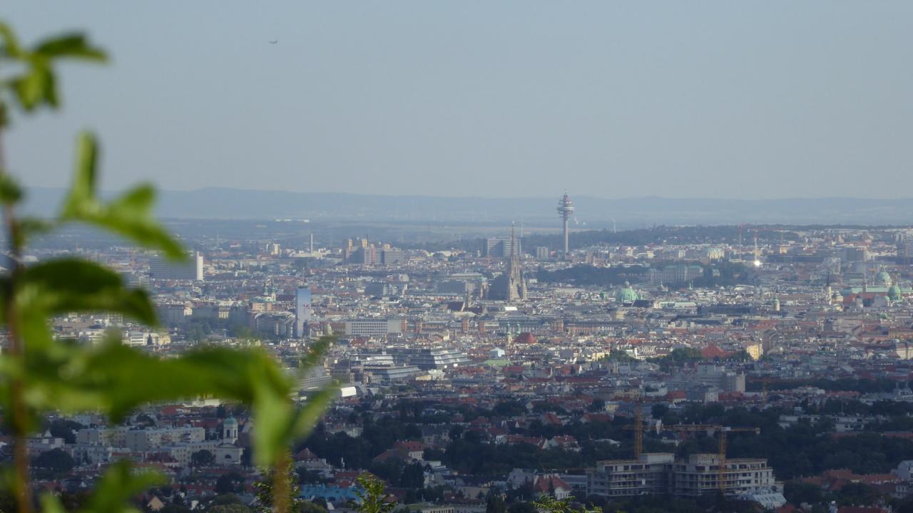 Vienna seen from Krapfenwaldbad