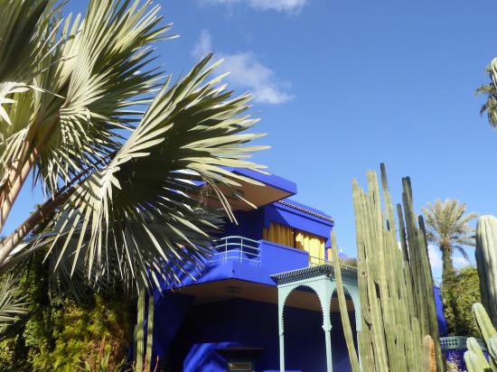 Projekt Jardin Majorelle: Where Nature Meets High Fashion in an Eclectic Tango!