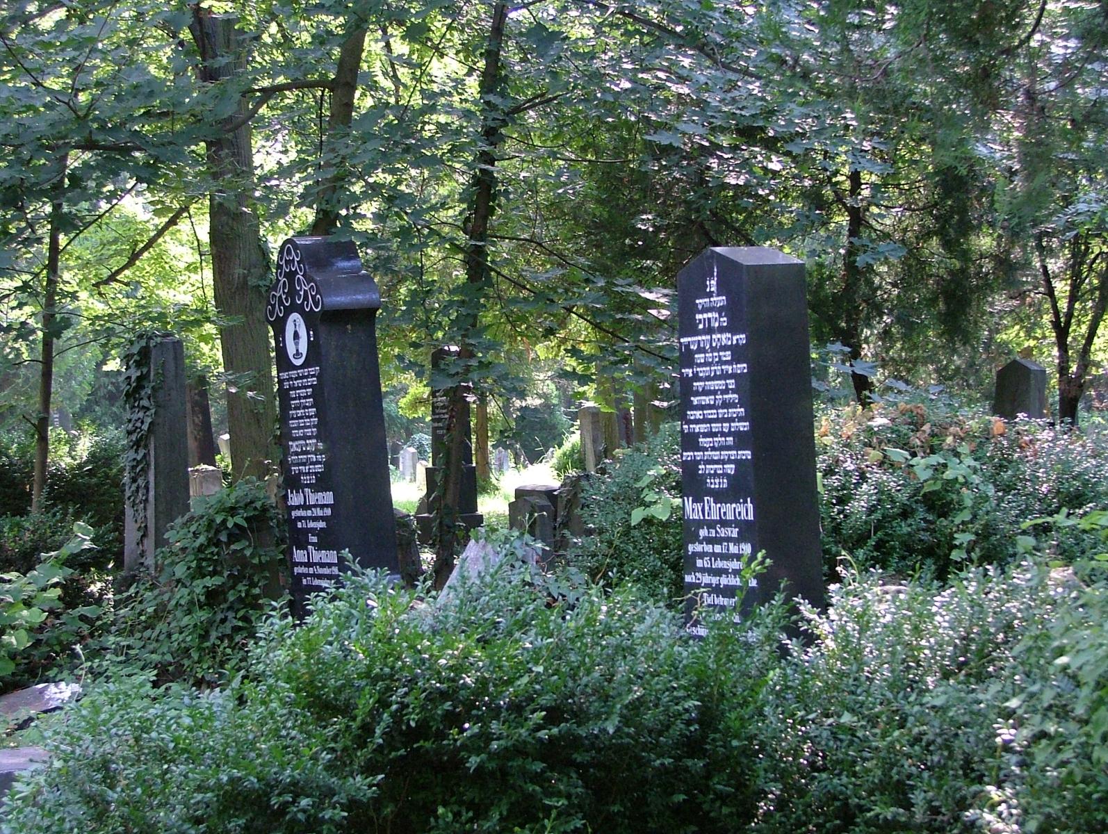 Zentralfriedhof Wien Central Cemetary Vienna Jewish Section
